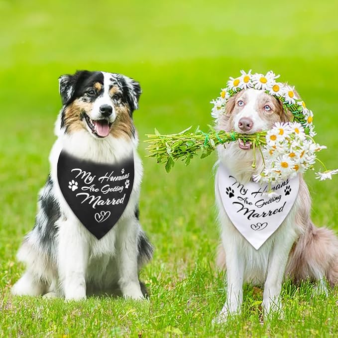 SZEE Engagement Gifts for Couples, 2 Pack My Humans are Getting Married Dog - Image 7