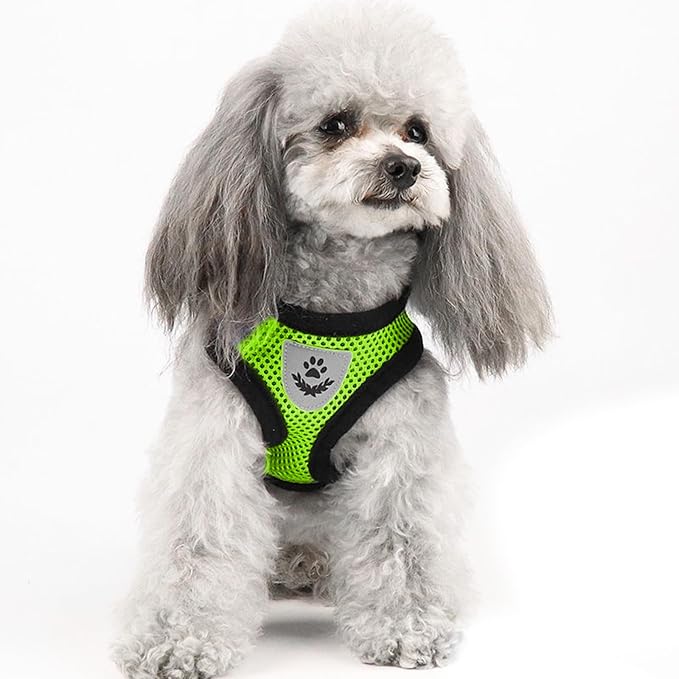 shudyear Summer cat Chest Harness and Leash, Anti-Escape Adjustable Soft mesh - Image 6