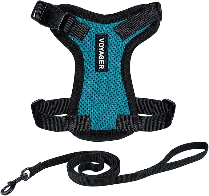 Voyager Escape-Proof Step-in Lock Cat Harness & 5ft Neoprene-Handle Leash Set by BestPetSuppliesLLC