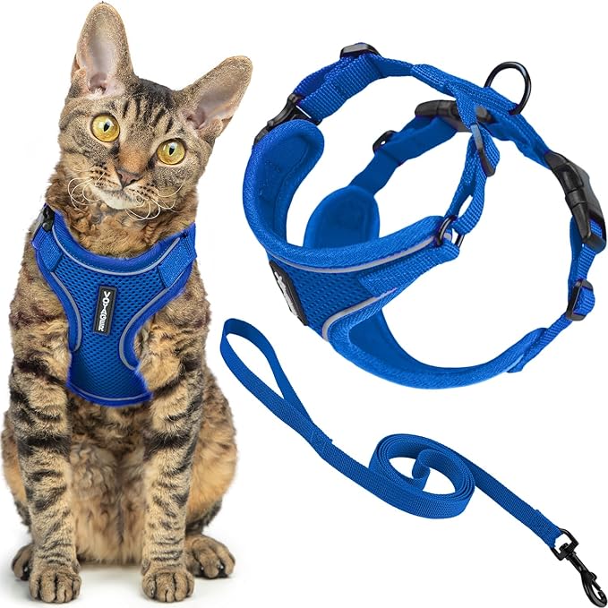 Voyager Escape-Proof Step-in Lock Cat Harness & 5ft Neoprene-Handle Leash Set by BestPetSuppliesLLC