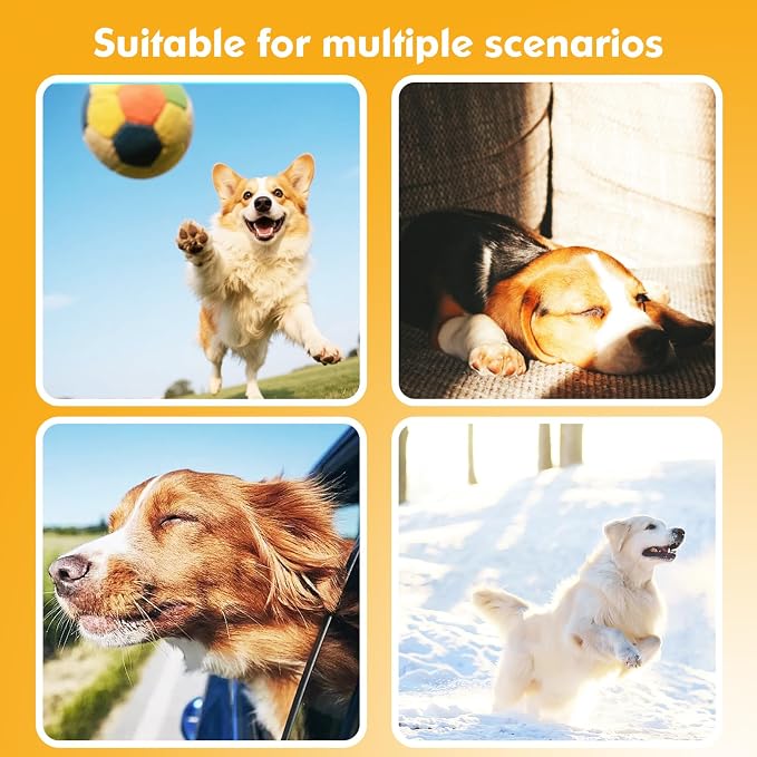 2-in-1 GPS Tracker for Dogs&Cats: Smart Collar - Image 8