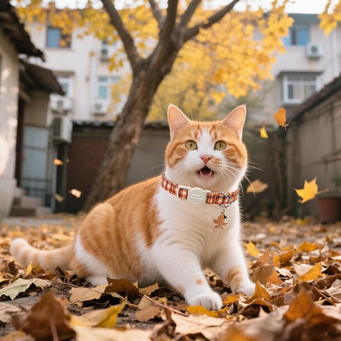 Unique style paws 2 Pack Autumn Halloween Kitten Collar Breakaway - Image 5