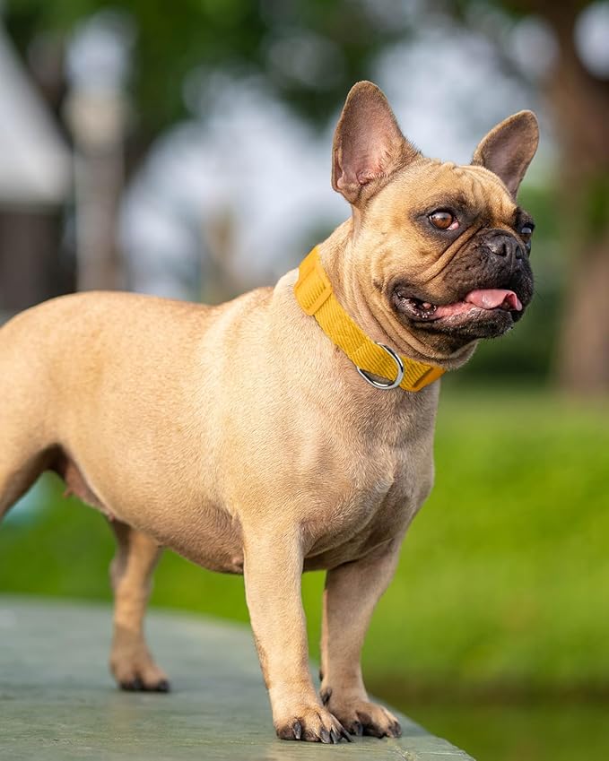 Dynmeow Soft and Breathable Cotton Dog Collar, Durable Adjustable Pet Collar - Image 7