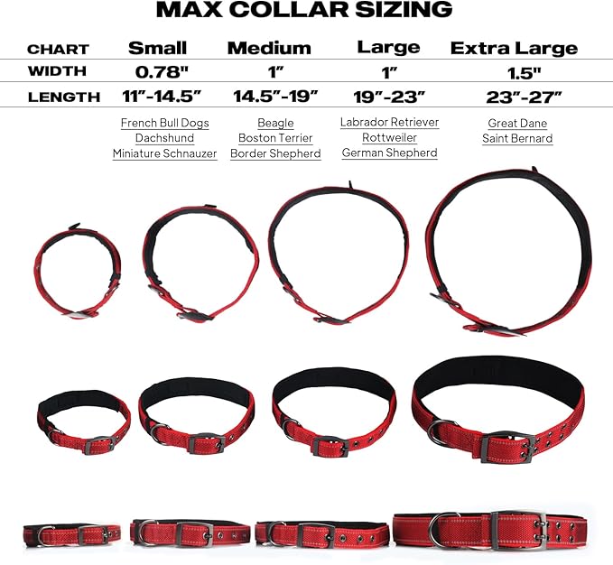 PetiFine Dog Collars for Medium Dogs, Neoprene Padded and Adjustable, - Image 5