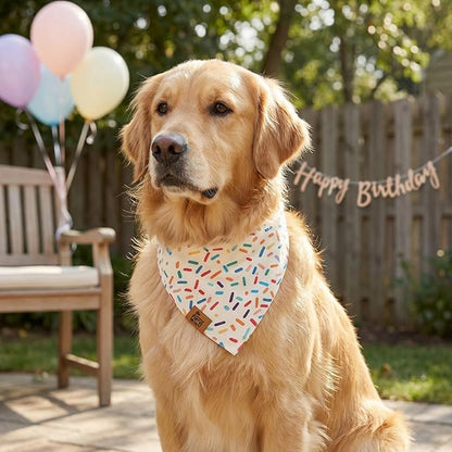 Birthday Dog Bandanas Extra Large, Reversible Colorful Confetti Sprinkles - Image 2