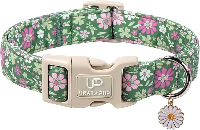 St. Patrick's Day Dog Collar, UP URARA PUP Shamrock Adjustable Pet Collar by UPURARAPUP