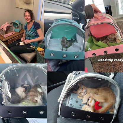 Guinea Pig Carrier Backpack, Bunny Rat Bird - Image 6