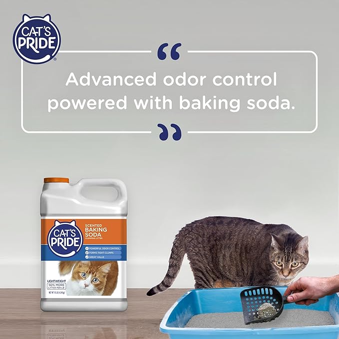 Cat's Pride Lightweight Clumping Litter: Baking Soda - Image 6
