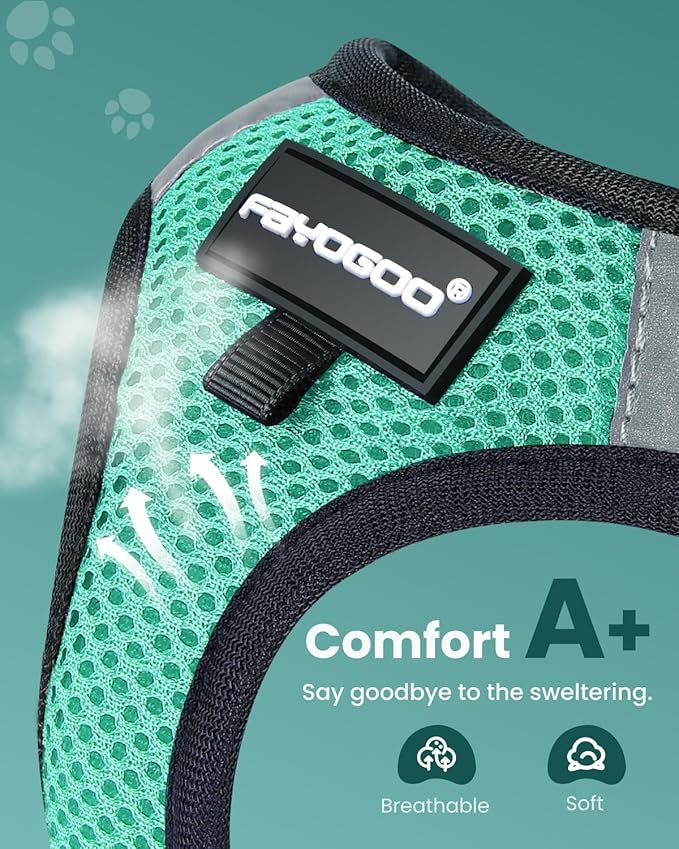 FAYOGOO Cat Harness & Leash Set, Escape Proof - Image 2
