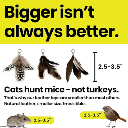 Forever Stick with 9 Feather Toy Lures - Image 5
