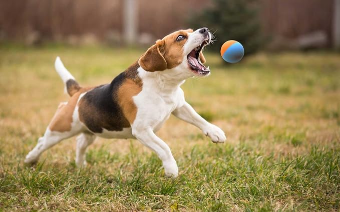 Snug Rubber Dog Balls for Small and Medium Dogs - Image 4