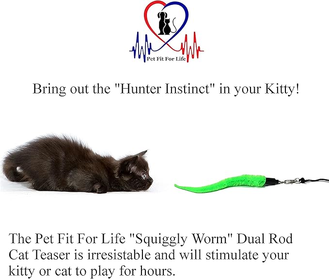 Pet Fit For Life Cat Wand Toy: 5-Piece Worm Teaser & Exerciser - Image 2