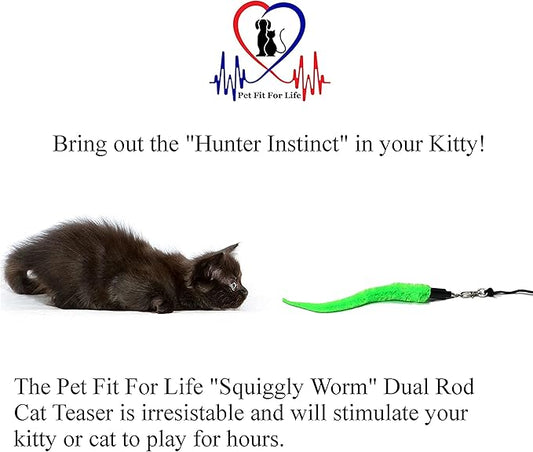 Pet Fit For Life Cat Wand Toy: 5-Piece Worm Teaser & Exerciser - Image 2