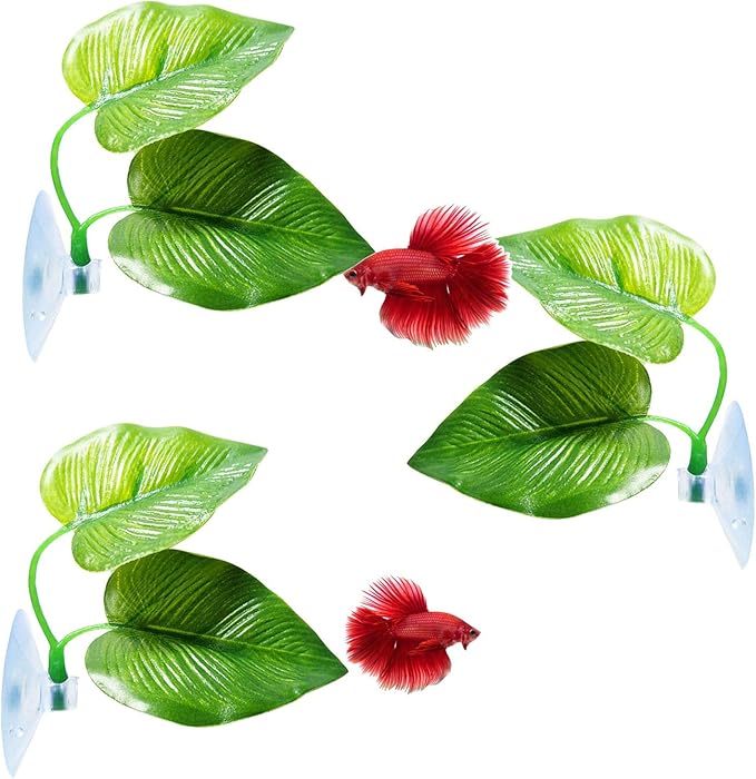 CousDUoBe 3 Pack Betta Fish Leaf Pad Improves Betta's Health by Simulating The by CousDUoBeAquariumfishtankdecoration