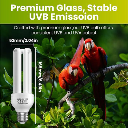 GlowUp 2.4% UVB Bulb for Birds, 20W Compact Fluorescent Light Bulb UVA UVB - Image 3