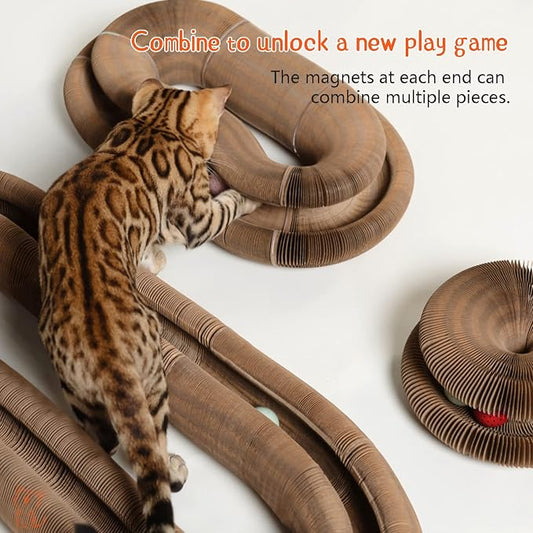CusieryMax Cat Ball Adventure The Ultimate Interactive Mental & Physical - Image 2