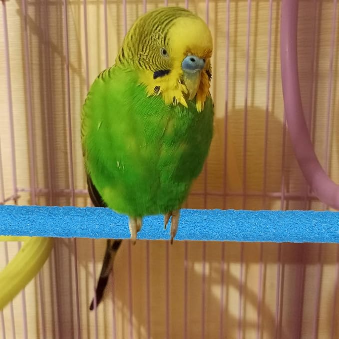Parakeet Bird Perches for Cage - Image 5