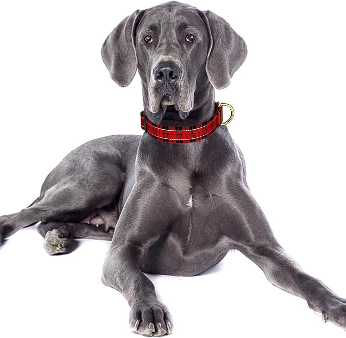 Reflective Dog Collar for Large Dogs, Cute Boho Adjustable Heavy-Duty Nylon - Image 2