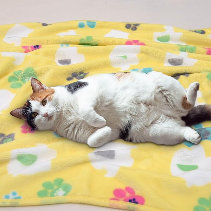 Rezutan 1 Pack 3 Dog Blanket for Large Dogs, 41x31 inch for Medium Soft Fluffy - Image 4