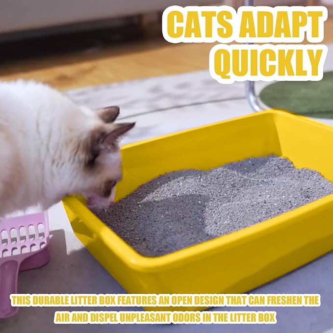 Small Litter Box, Plastic Kitten Litter Box, 13.9 x 9.8 x 3 Inch Open Litter Box - Image 4