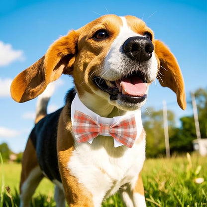 Segarty Dog Bow Tie, Adjustable Orange Plaid Bowtie Collar - Image 6