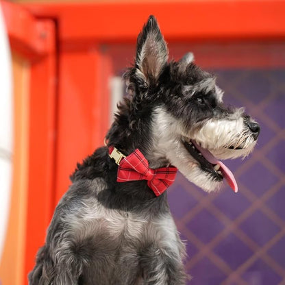Beirui Cute Small Dog Harness Collar and Leash Set - Image 5