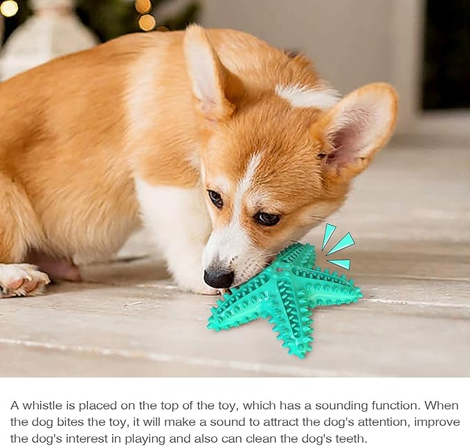 Carllg Dog Toys for Aggressive Chewers, Dog Teething Cleaning Toothbrush Toy - Image 2
