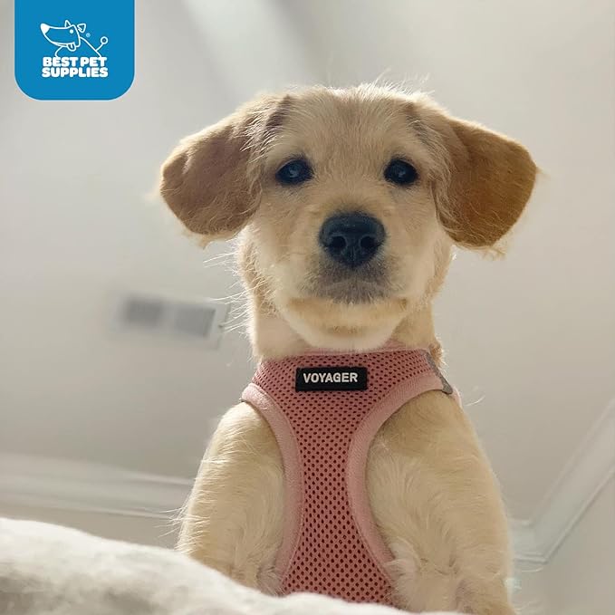Best Pet Supplies Voyager Step-in Air Harness - Image 10