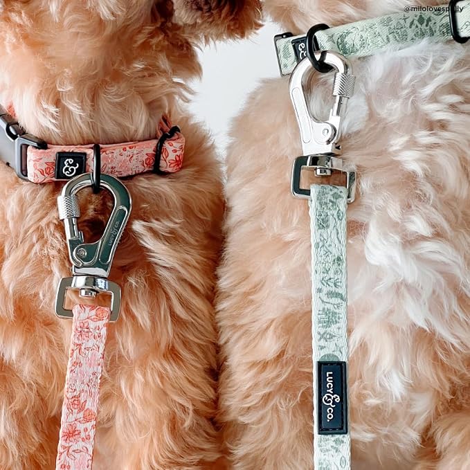 Lucy & Co. Dog Collar - Image 2