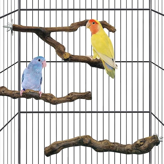 kathson 3pcs Natural Parrot Perch by kathson
