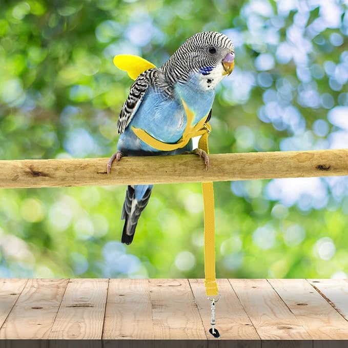 Dnoifne Pet Parrot Bird Harness and Leash, Adjustable Training Design Anti-Bite - Image 3