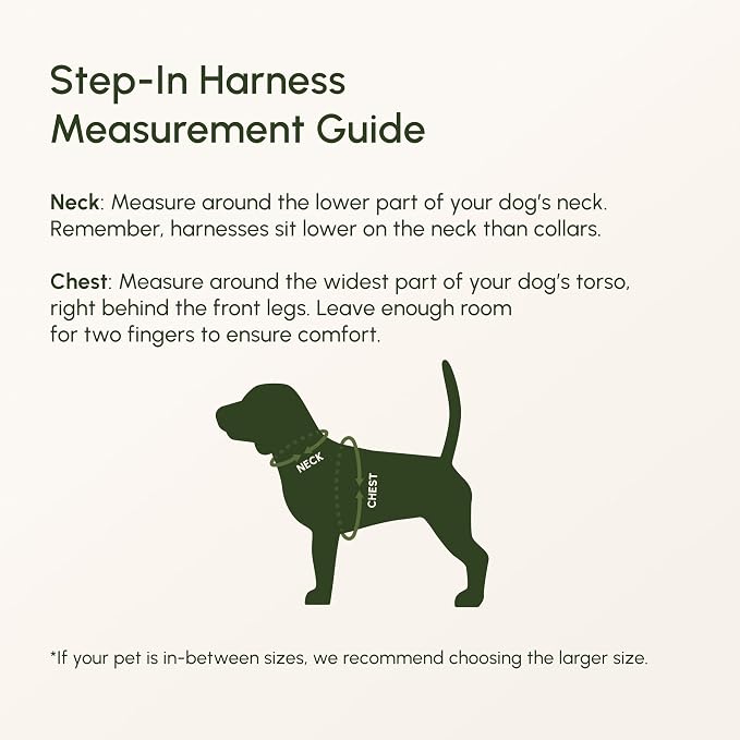 Downtown Pet Supply Step-in Dog Harness – No Pull, Adjustable Padded Mesh - Image 5