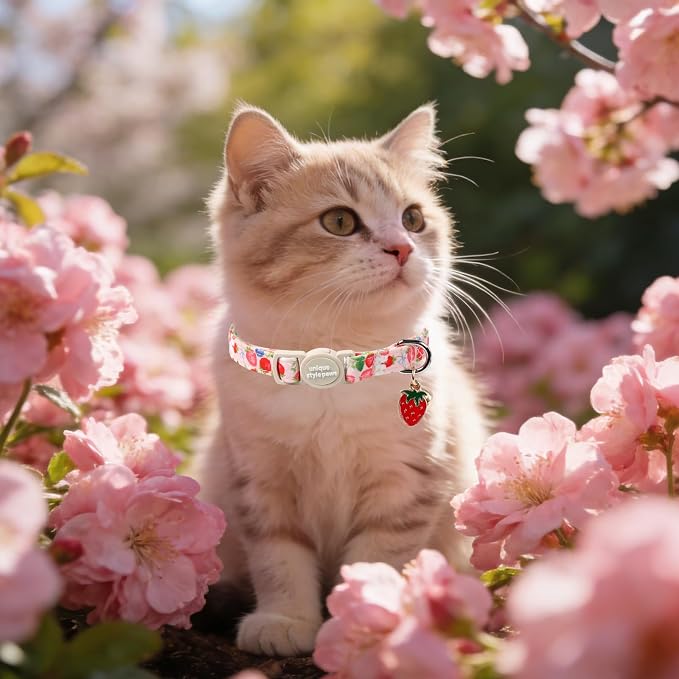 Unique Style Paws Pink Flower Kitten Collars, Cute Pink Bow Cats Collar - Image 4
