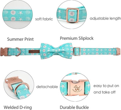 Elegant Little Tail Bowtie Dog Collar - Image 2