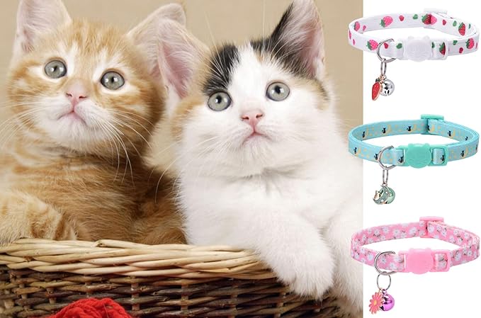 10PC Floral Cat Collar Set - Image 4