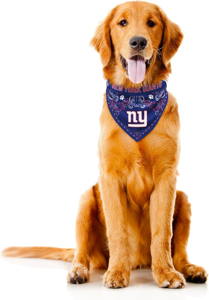 Littlearth NFL Denver Broncos Pet Bandana - Image 3
