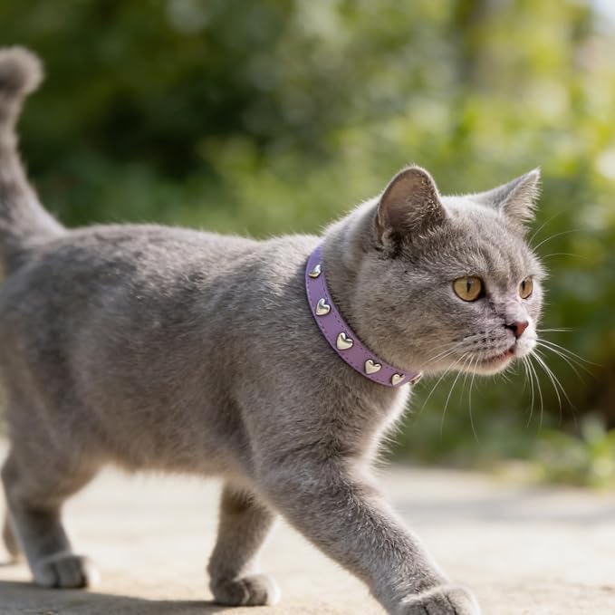 EXPAWLORER Leather Cat Collar for Girl Boy- Adjustable Pet Collar - Image 7