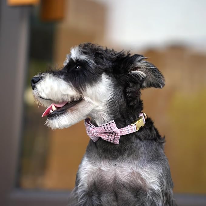 Beirui Cute Small Dog Harness Collar and Leash Set - Image 5