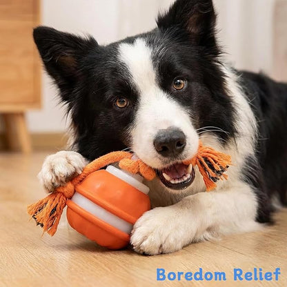 Zealburst Interactive Dog Toy, 360° Smart Automatic Rolling Moving Toy - Image 6
