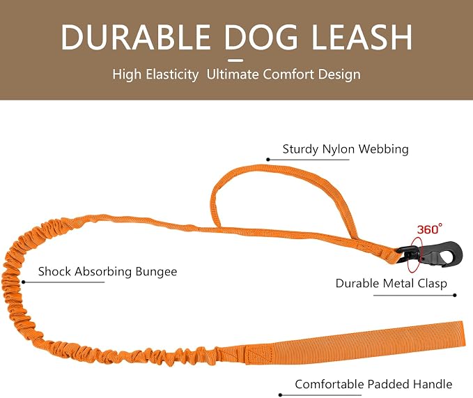 DAGANXI Tactical Dog Collar, Adjustable Military Training Nylon Dog Collar - Image 4