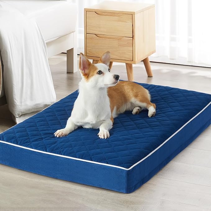 WNPETHOME Orthopedic XL Dog Bed by WNPETHOMEPETSHOME