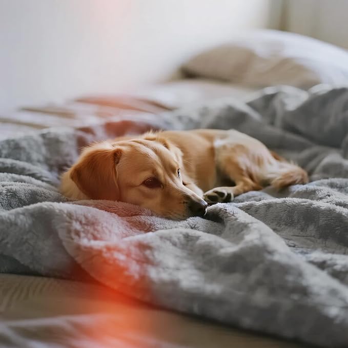 gogobunny Waterproof Blanket for Bed Couch Sofa, Liquid Pee and Fur Proof Pet - Image 9