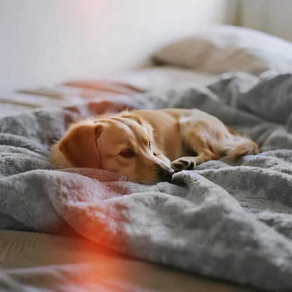 gogobunny Waterproof Blanket for Bed Couch Sofa, Liquid Pee and Fur Proof Pet - Image 9