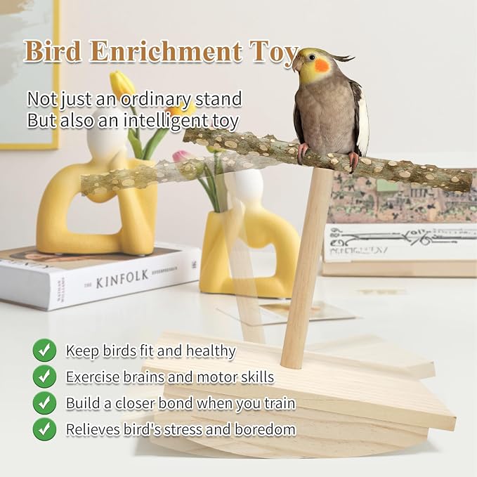 Natural Wood Bird Perch Stand, Rocking Perch - Image 4
