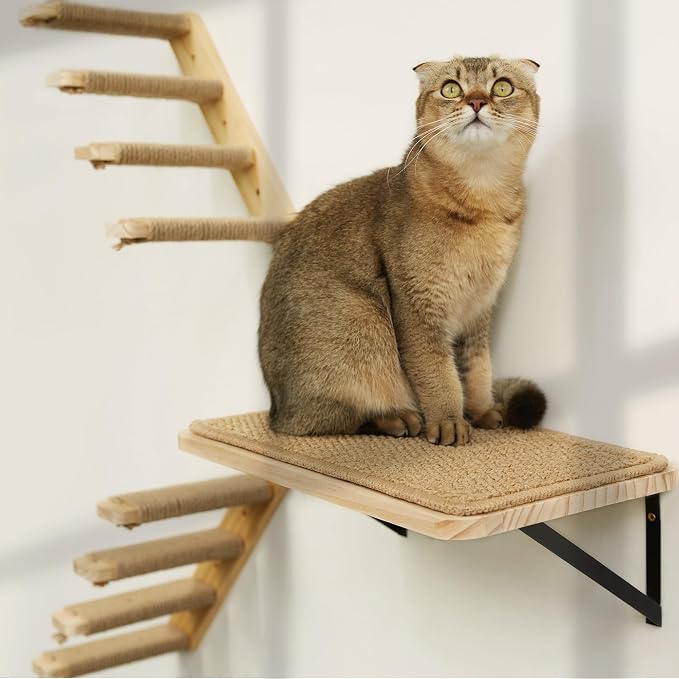 Cat Floating Wall Shelf with Scratching Mat, Support to 30 LBS - Image 8