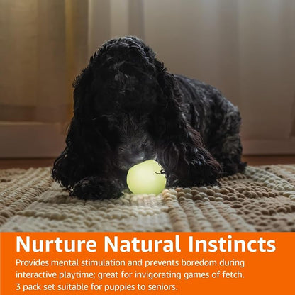 Amazon Basics Interactive Bouncy Durable Rubber Dog Toy Balls, 2.5 inch - Image 8