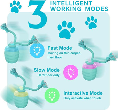 Interactive Dog Toy, Motion Activated Rolling Squeaky Ball - Image 3