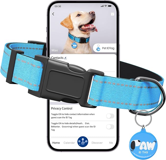 Reflective Dog Collar for Medium Dogs by Pawduct