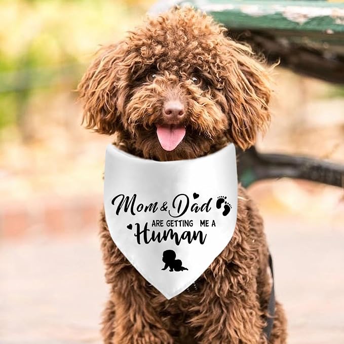 Mom&Dad are Getting Me a Human Dog Bandanas, Pregnancy Announcement Dog Bandanas - Image 2