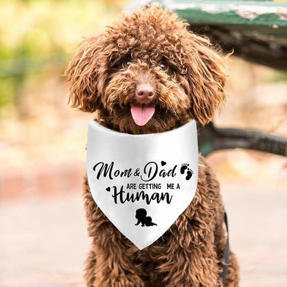 Mom&Dad are Getting Me a Human Dog Bandanas, Pregnancy Announcement Dog Bandanas - Image 2